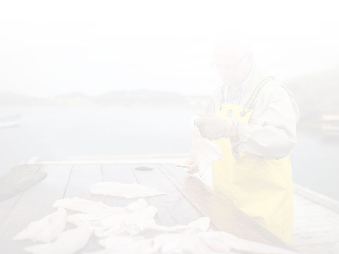 Filleting Cod Fish